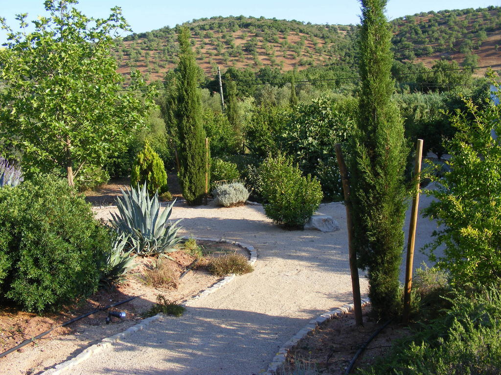 Fazendinha - Tavira - Spacious And Tranquil Hotell Exteriör bild